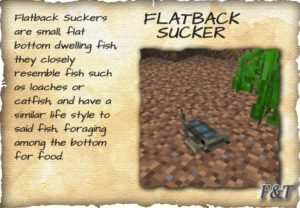 Мод Fins and Tails 1.20.1, 1.19.2, 1.18.2, 1.16.5, 1.16.4 Мод Fins and Tails 1.20.1, 1.19.2, 1.18.2, 1.16.5, 1.16.4