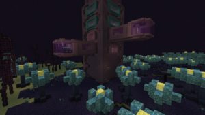 Мод The Outer End 1.16.5 (обновление Края)