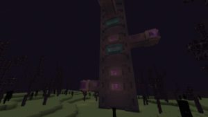 Мод The Outer End 1.16.5 (обновление Края)