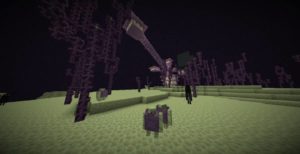 Мод Shulkered 1.16.5 (расширения Края)