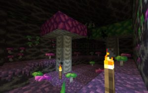 Мод Xenoclus 2 1.16.4 (таинственная тундра)