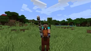 Мод Jousting 1.17.1, 1.16.5, 1.15.2