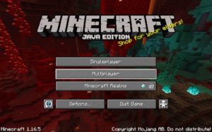 Скачать Майнкрафт 1.16.5 на ПК