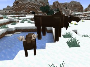 Мод Alaska Native Craft 1.16.4 (вещи жителей Аляски) Мод Alaska Native Craft 1.16.4 (вещи жителей Аляски)