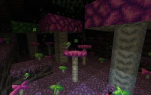 Мод Xenoclus 2 1.16.4 (таинственная тундра)