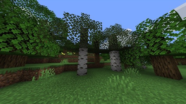 Мод Cull Leaves 1.16.5 1 Мод Cull Leaves 1.16.5