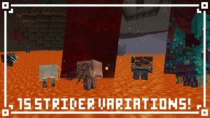 Ресурс-пак Biomes+ [16x] 1.16.5