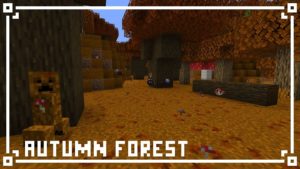 Ресурс-пак Biomes+ [16x] 1.16.5