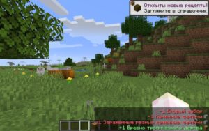 Мод Inventory Spam 1.20.4, 1.19.4, 1.18.2, 1.17.1, 1.16.5, 1.15.2, 1.12.2