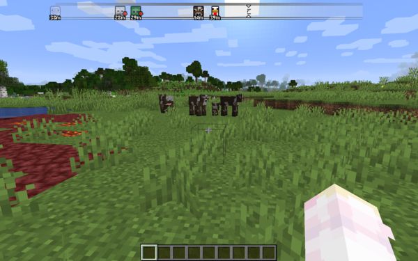 Мод Advanced Compass 1.17.1, 1.16.5 (компас в стиле RPG)