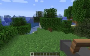 Мод Fox's Handheld Cannon 1.17.1, 1.16.5