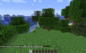 Мод Fox's Handheld Cannon 1.17.1, 1.16.5