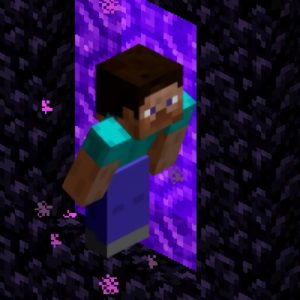 Мод Sneak Nether Portals 1.16.5