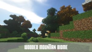 Текстурпак World Plus [16x] 1.16.5