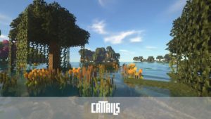 Текстурпак World Plus [16x] 1.16.5