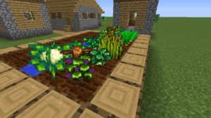 Мод Star Crop 1.16.5, 1.14.4, 1.12.2 Мод Star Crop 1.16.5, 1.14.4, 1.12.2