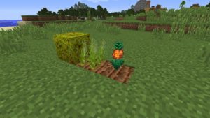 Мод Star Crop 1.16.5, 1.14.4, 1.12.2 Мод Star Crop 1.16.5, 1.14.4, 1.12.2