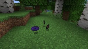 Мод SkyrimCraft для Майнкрафт 1.16.5, 1.14.4, 1.12.2