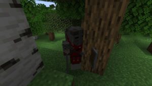 Мод SkyrimCraft для Майнкрафт 1.16.5, 1.14.4, 1.12.2