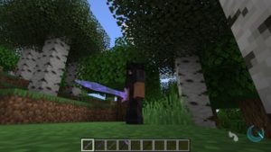 Мод SkyrimCraft для Майнкрафт 1.16.5, 1.14.4, 1.12.2