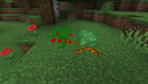 Мод SkyrimCraft для Майнкрафт 1.16.5, 1.14.4, 1.12.2