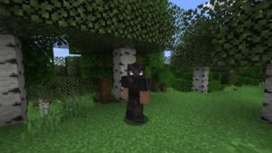 Мод SkyrimCraft для Майнкрафт 1.16.5, 1.14.4, 1.12.2