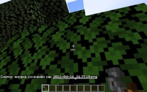 Мод Hooked N' Grapple 1.16.5