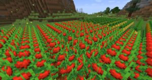 Мод Ham N' Cheese 1.16.5