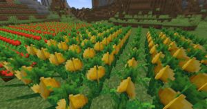 Мод Ham N' Cheese 1.16.5