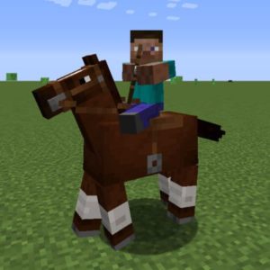 Мод Horse Combat Controls 1.16.5