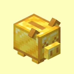 Мод Piggybanks 1.16.5