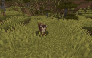 Мод Caracal для Майнкрафт 1.16.5 Мод Caracal для Майнкрафт 1.16.5