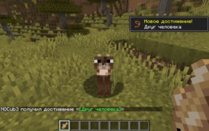 Мод Caracal для Майнкрафт 1.16.5 Мод Caracal для Майнкрафт 1.16.5