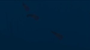 Мод The Undead 1.16.5