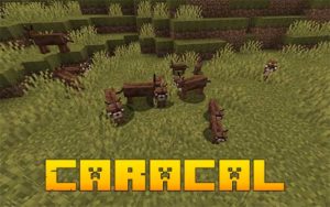 Мод Caracal для Майнкрафт 1.16.5