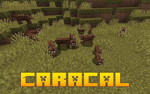 Мод Caracal для Майнкрафт 1.16.5 Мод Caracal для Майнкрафт 1.16.5