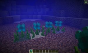 Мод Atlantis 1.16.5, 1.12.2 (морское измерение) Мод Atlantis 1.16.5, 1.12.2 (морское измерение)