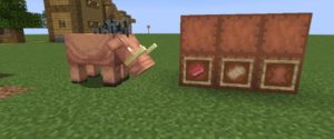 Мод Nourished Nether 1.16.5 (расширение нижнего мира) Мод Nourished Nether 1.16.5 (расширение нижнего мира)