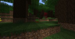 Мод Nature Expansion для Майнкрафт 1.16.5