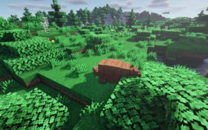 Сборка - реалистичный хардкор 1.16.5 (53 мода) Сборка - реалистичный хардкор 1.16.5 (53 мода)