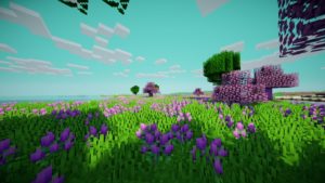 Мод Mystic's Biomes 1.16.5, 1.15.2 (мистичные биомы)
