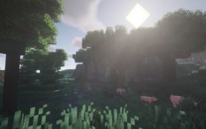 Реалистичная сборка Майнкрафт 1.16.5 (46 модов)