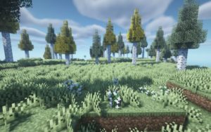 Реалистичная сборка Майнкрафт 1.16.5 (46 модов)