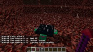 Мод TelePads 1.16.5, 1.14.4, 1.12.2