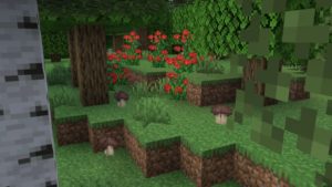 Мод NoCube's Wilderness 1.16.5