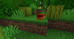 Мод Unnamed Animal 1.16.5 Мод Unnamed Animal 1.16.5