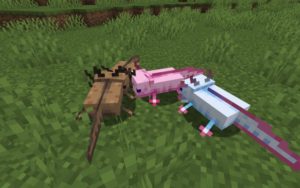 Скачать Майнкрафт 1.17.1 Java Edition