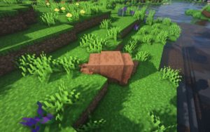 Деревенская сборка Майнкрафт 1.16.5 (50 модов)