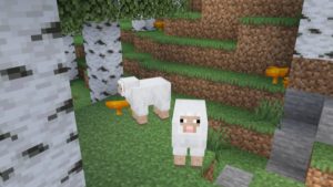 Мод NoCube's Wilderness 1.16.5