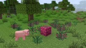 Мод NoCube's Wilderness 1.16.5